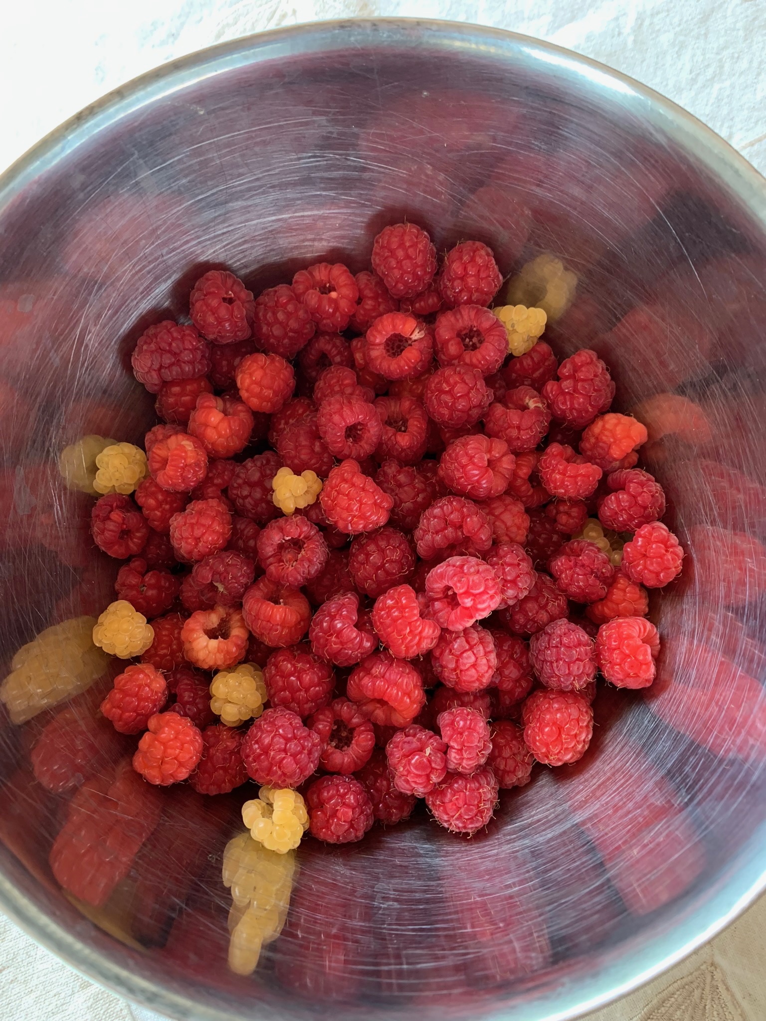 Framboises fraîchement cueillies